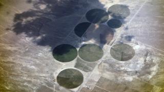 MARIA VEDDER „DIE REGENMACHER“ (2016), VIDEOSTILL © MARIA VEDDER UND VG BILD-KUNST, BONN 2017