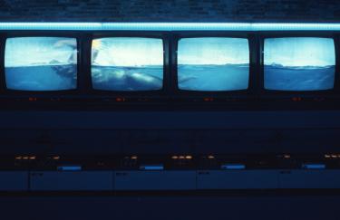 STUDIO AZZURRO, IL NUOTATORE (VA TROPPO SPESSO AD HEIDELBERG), 1984