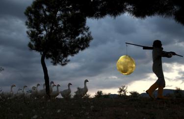 AGNES MEYER-BRANDIS "THE MOON GOOSE COLONY" (2012), VIDEOSTILL (AUSSCHNITT) © AGNES MEYER-BRANDIS & IMAI, 2015