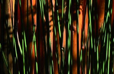 STANSFIELD/HOOYKAAS „DEEP LOOKING“ (2003), VIDEO STILL © MADELON HOOYKAAS, 2017