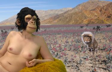 Ale Bachlechner, Like You Really Mean It, 2020